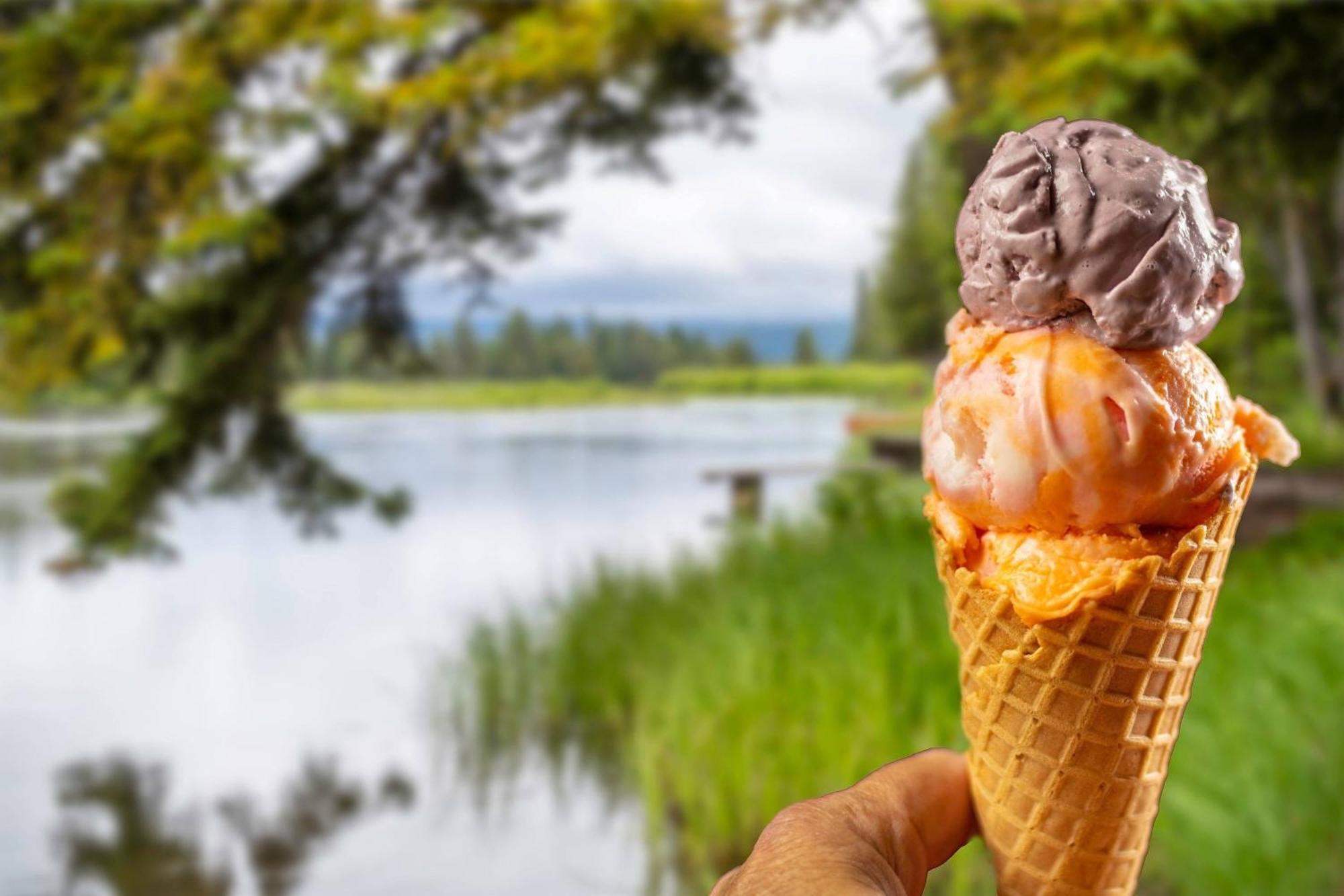 Springhill Suites Island Park Yellowstone Экстерьер фото